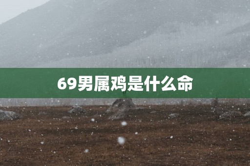 69男属鸡是什么命