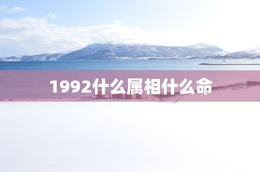 1992什么属相什么命