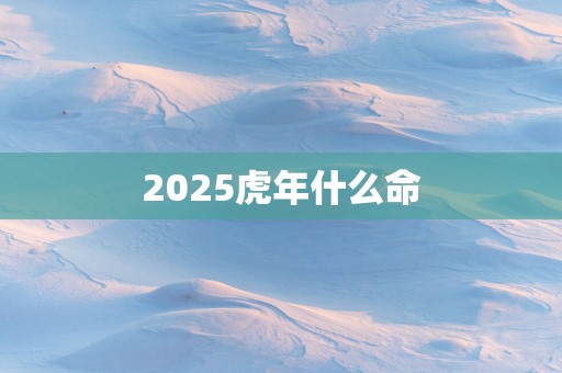 2025蛇年什么命
