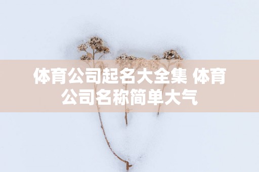 体育公司起名大全集 体育公司名称简单大气
