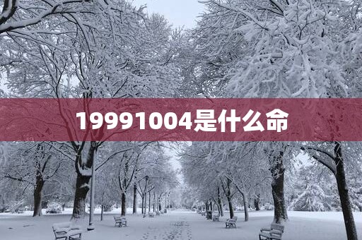 19991004是什么命