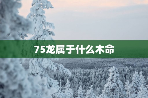 75龙属于什么木命
