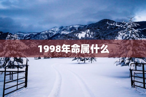 1998年命属什么