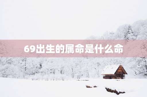 69出生的属命是什么命