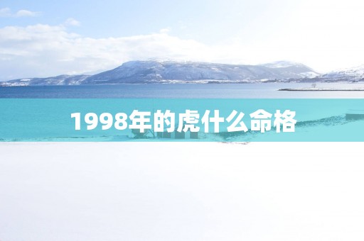 1998年的虎什么命格
