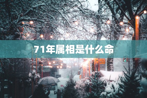 71年属相是什么命