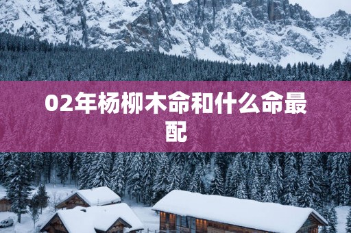 02年杨柳木命和什么命最配