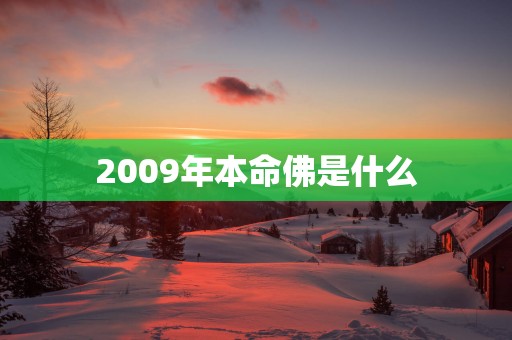 2009年本命佛是什么