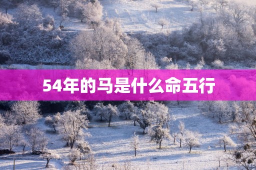 54年的马是什么命五行
