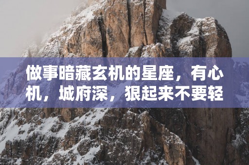 做事暗藏玄机的星座，有心机，城府深，狠起来不要轻易招惹