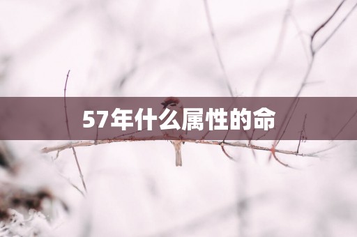 57年什么属性的命