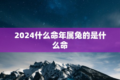 2025什么命年属兔的是什么命