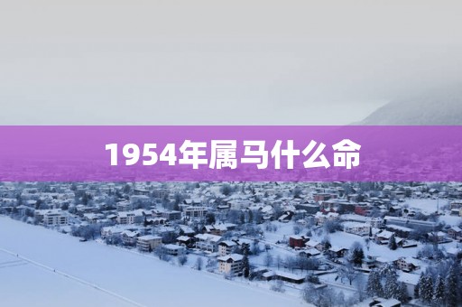 1954年属马什么命