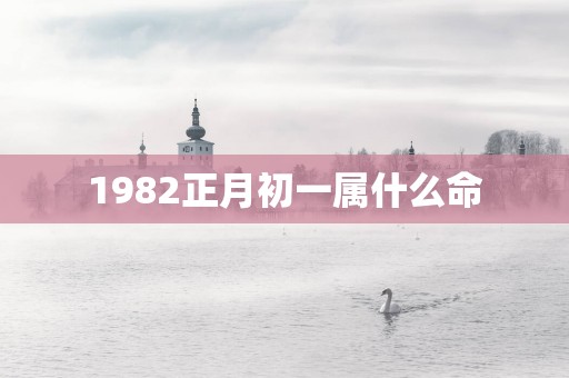 1982正月初一属什么命