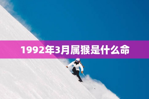 1992年3月属猴是什么命