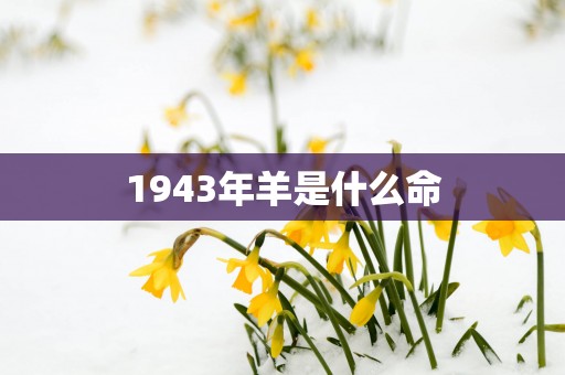 1943年羊是什么命