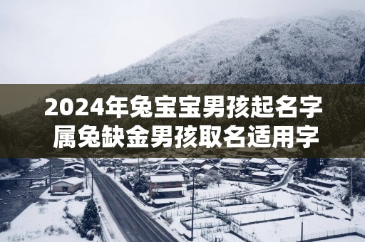 2025年兔宝宝男孩起名字 属兔缺金男孩取名适用字