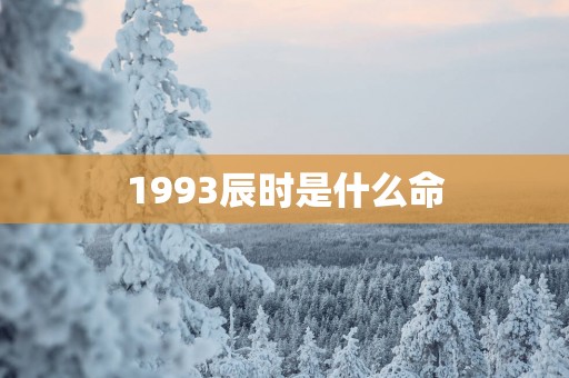 1993辰时是什么命