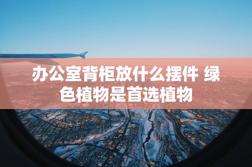 办公室背柜放什么摆件 绿色植物是首选植物