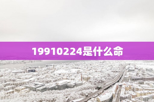 19910224是什么命