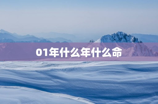 01年什么年什么命