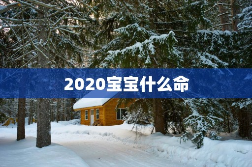 2025宝宝什么命