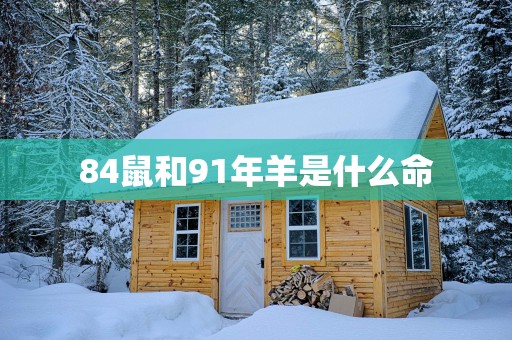 84鼠和91年羊是什么命
