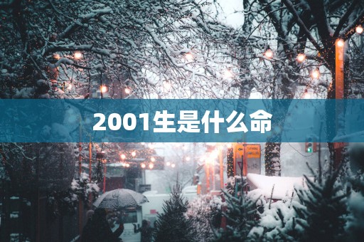 2001生是什么命