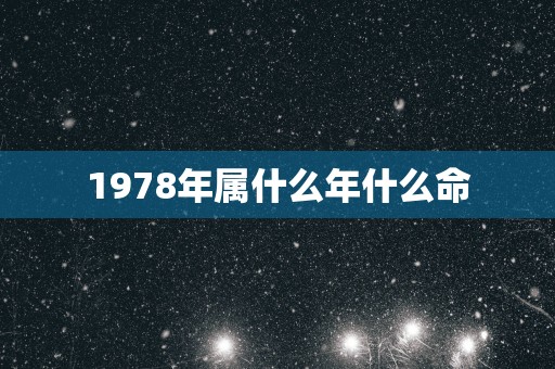 1978年属什么年什么命