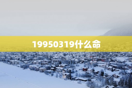 19950319什么命