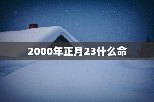 2000年正月23什么命