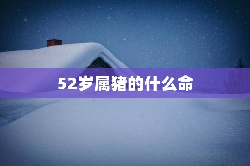 52岁属猪的什么命