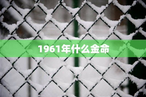 1961年什么金命