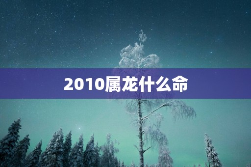 2010属龙什么命