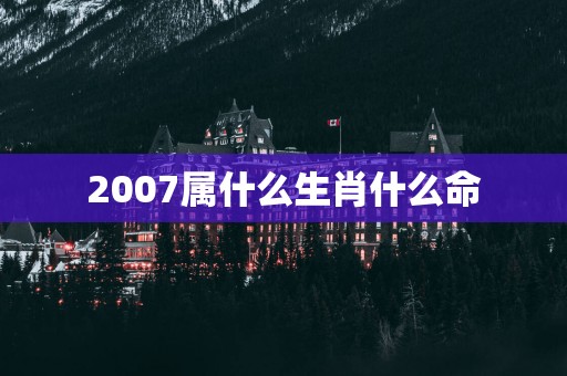 2007属什么生肖什么命