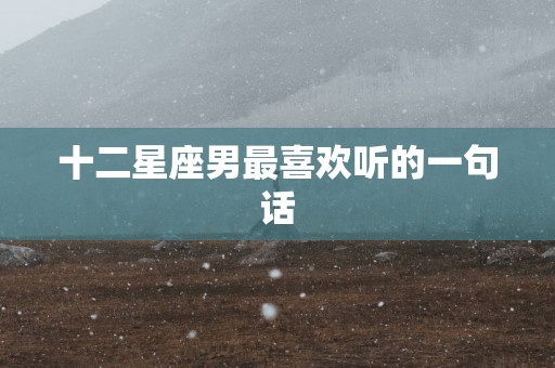 十二星座男最喜欢听的一句话