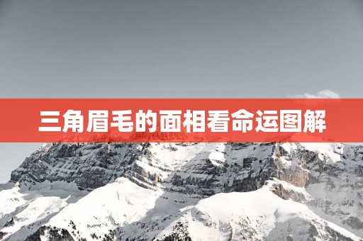 三角眉毛的面相看命运图解
