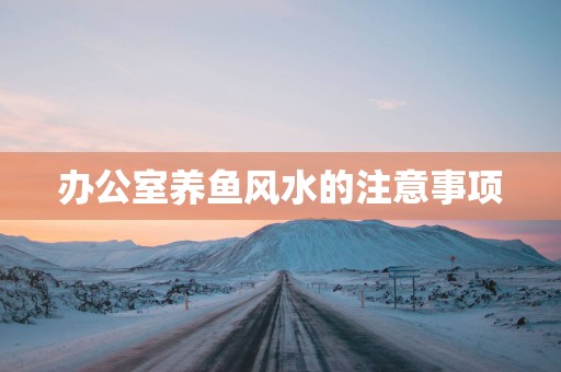 办公室养鱼风水的注意事项