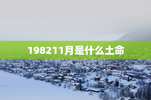 198211月是什么土命