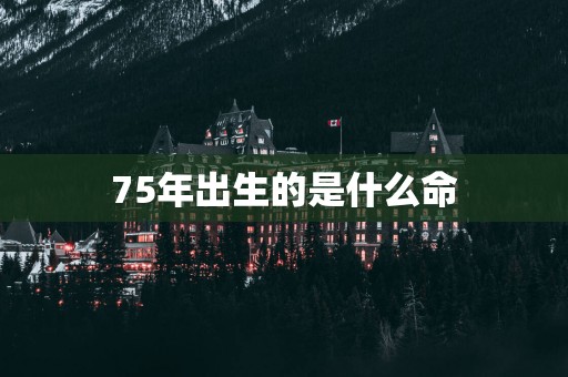 75年出生的是什么命
