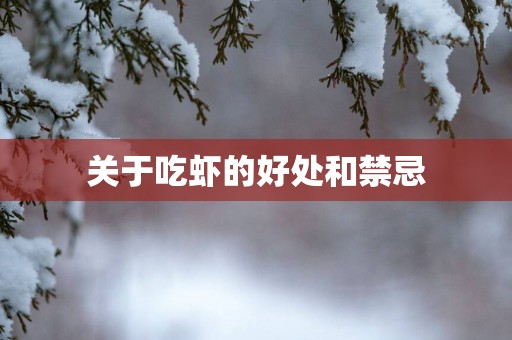 关于吃虾的好处和禁忌