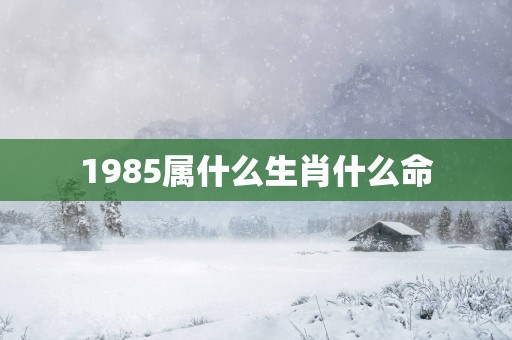 1985属什么生肖什么命