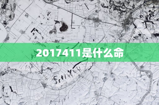 2017411是什么命