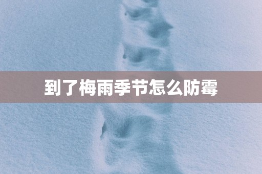 到了梅雨季节怎么防霉