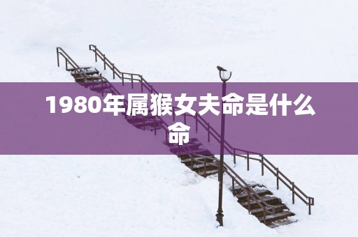 1980年属猴女夫命是什么命