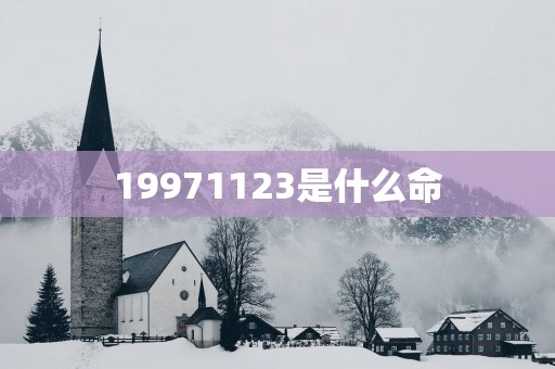 19971123是什么命