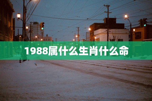 1988属什么生肖什么命