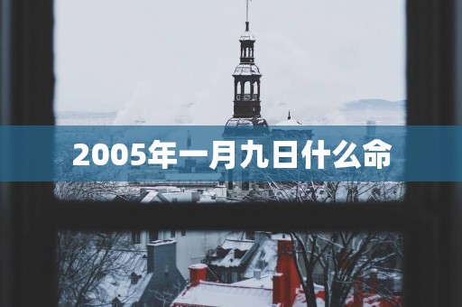 2005年一月九日什么命