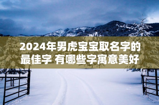 2025年男虎宝宝取名字的最佳字 有哪些字寓意美好