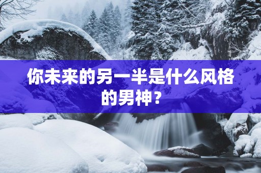 你未来的另一半是什么风格的男神？